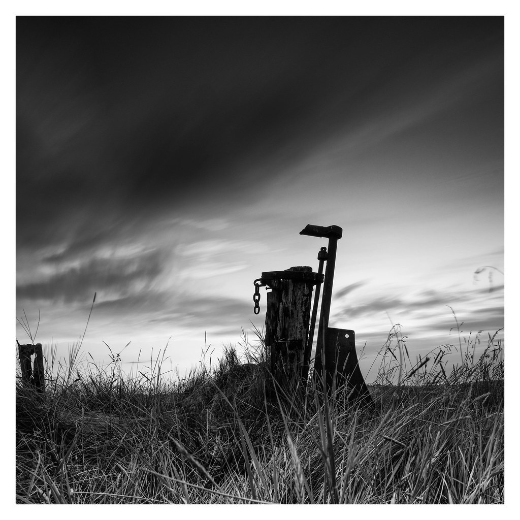 HIGH AND DRY Rob Flickr