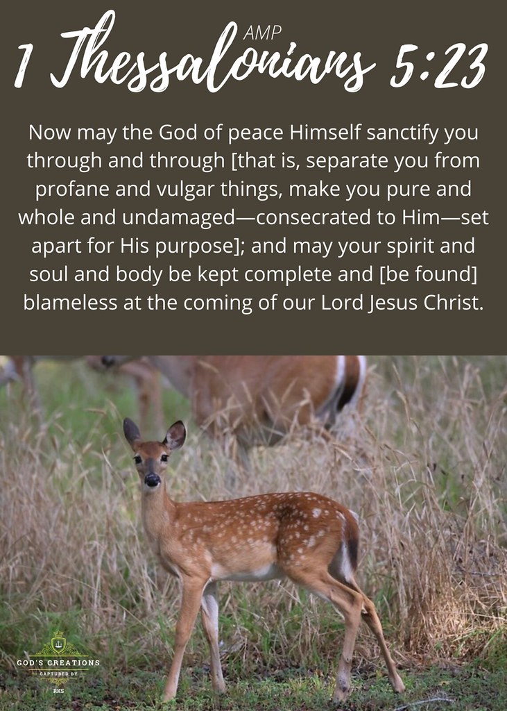 1 Thessalonians 523 Amplified Bible im2fast4u2c Flickr