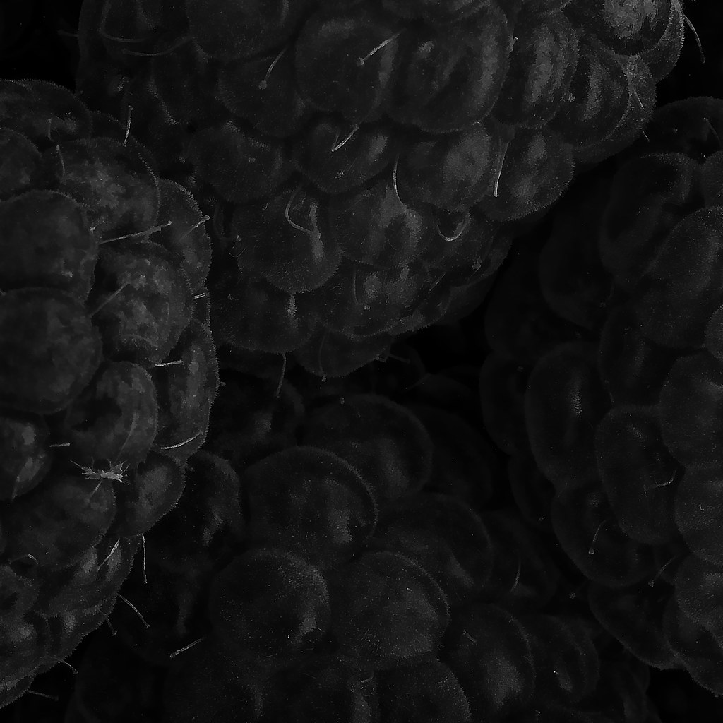 Raspberries arbyreed Flickr