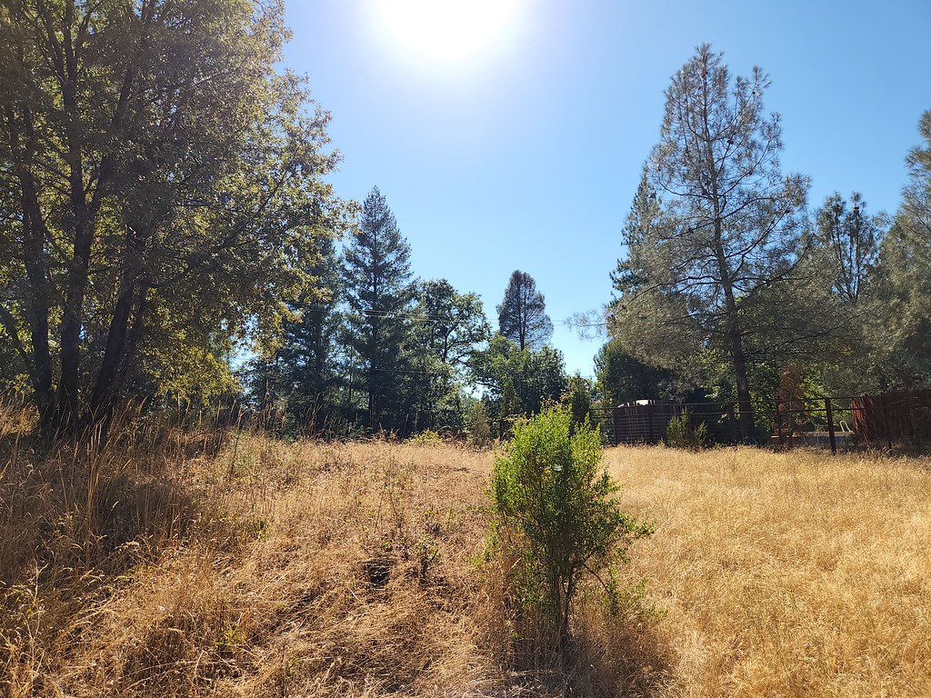 20220812_163229_001 12 Aug 2022. Swansboro Hill Property. … Flickr