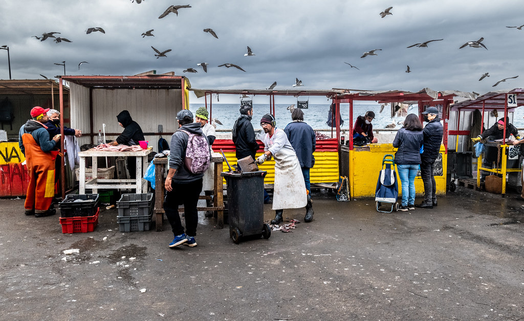 Valparaiso Fish Market John A. Henderson Flickr
