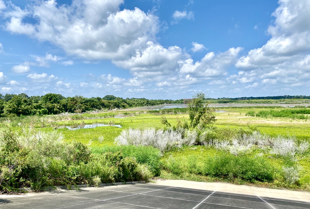 W. Irene Rd. impoundments Habitat shot for eBird list Flickr