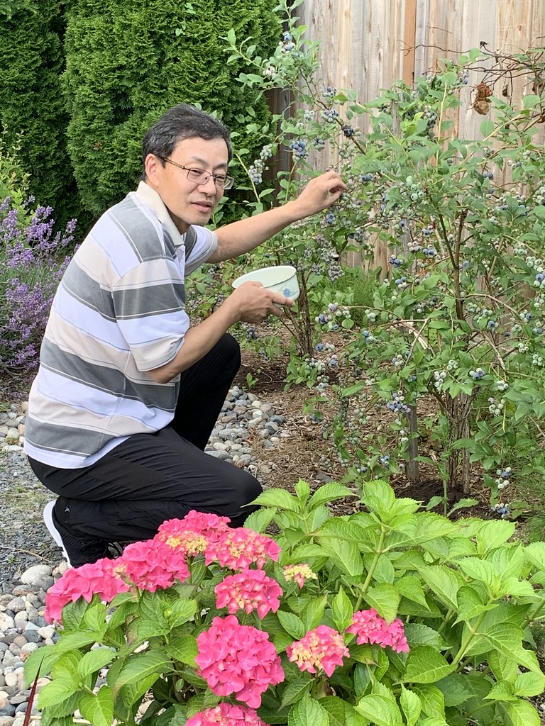 Untitled Teresa Xu Flickr