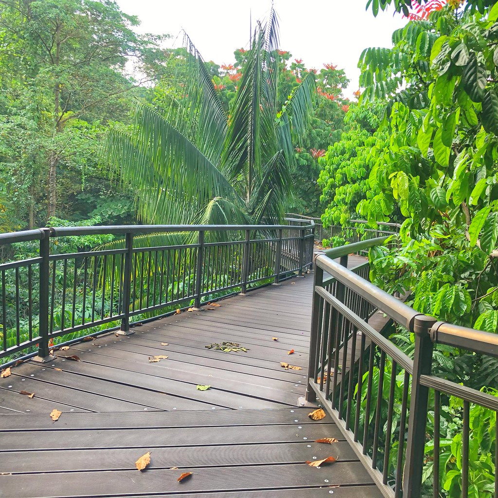 Kent Ridge Park Kent Ridge Park cattan2011 Flickr