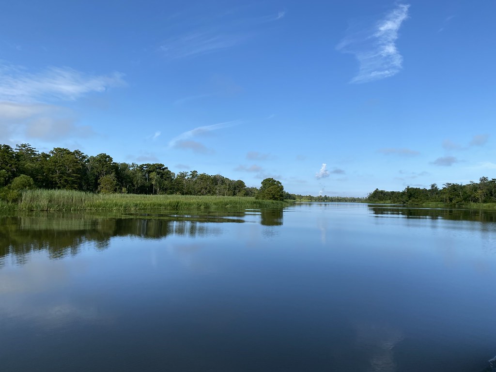 ACES Forestry, Wildlife & Natural Resources Team Inservic… Flickr