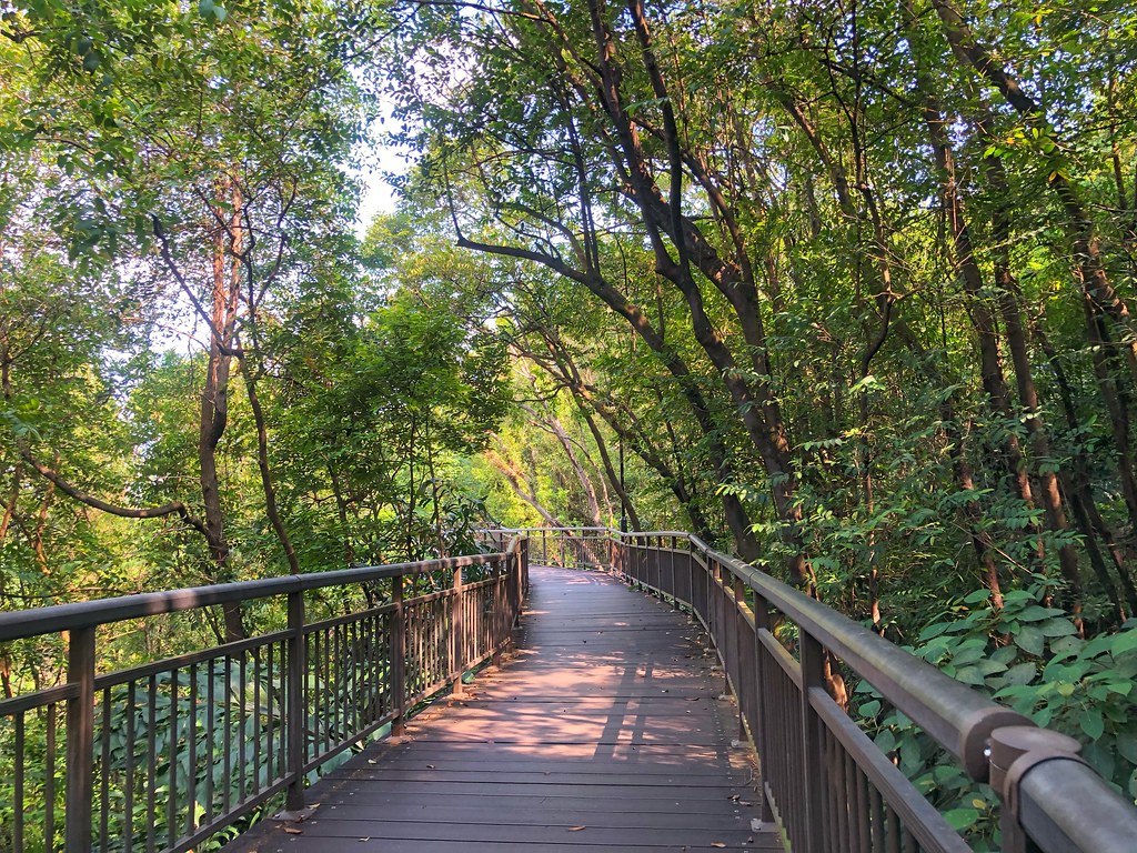 Kent Ridge Park Kent Ridge Park cattan2011 Flickr