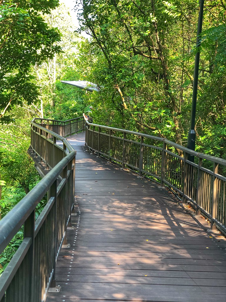 Kent Ridge Park Kent Ridge Park cattan2011 Flickr