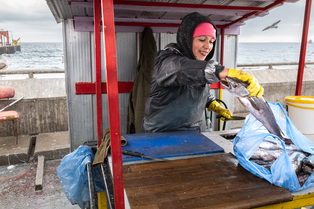 Valparaiso Fish Market and Wharves John A. Henderson Flickr
