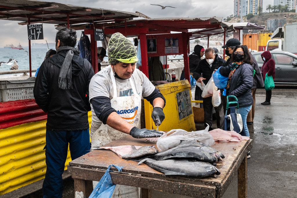 Valparaiso Fish Market John A. Henderson Flickr