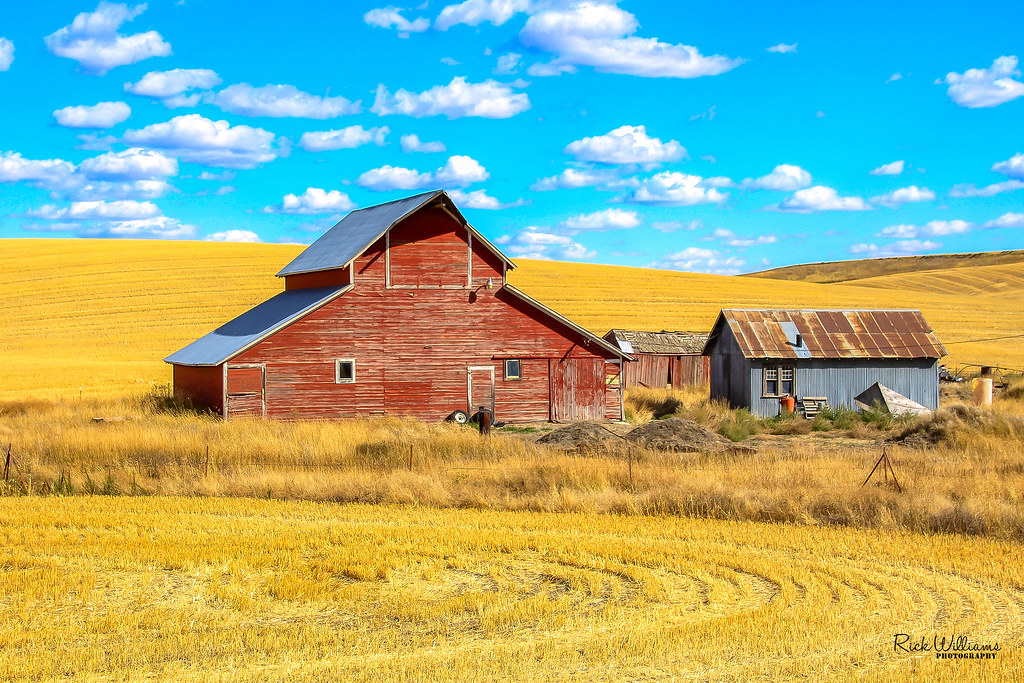 After The Harvest Lincoln CountyWashington State Rick Williams