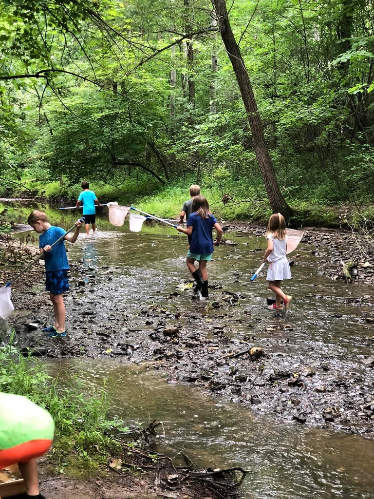 Baird Creek Preservation Foundation Thanks to a 2021 grant… Flickr