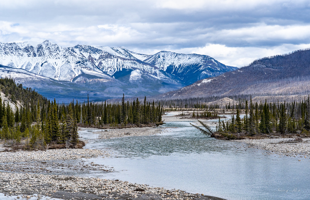 Saskatchewan River Crossing, Alberta When more of that sno… Flickr