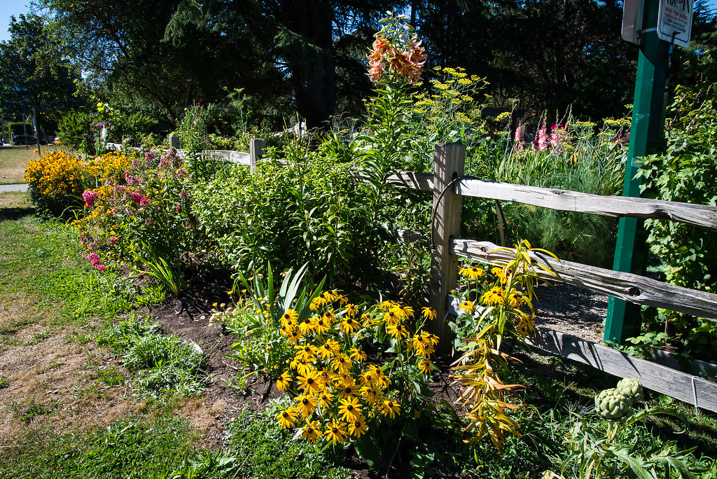 DSC 0001254 Mount Pleasant Brewery Creek Community G… Flickr