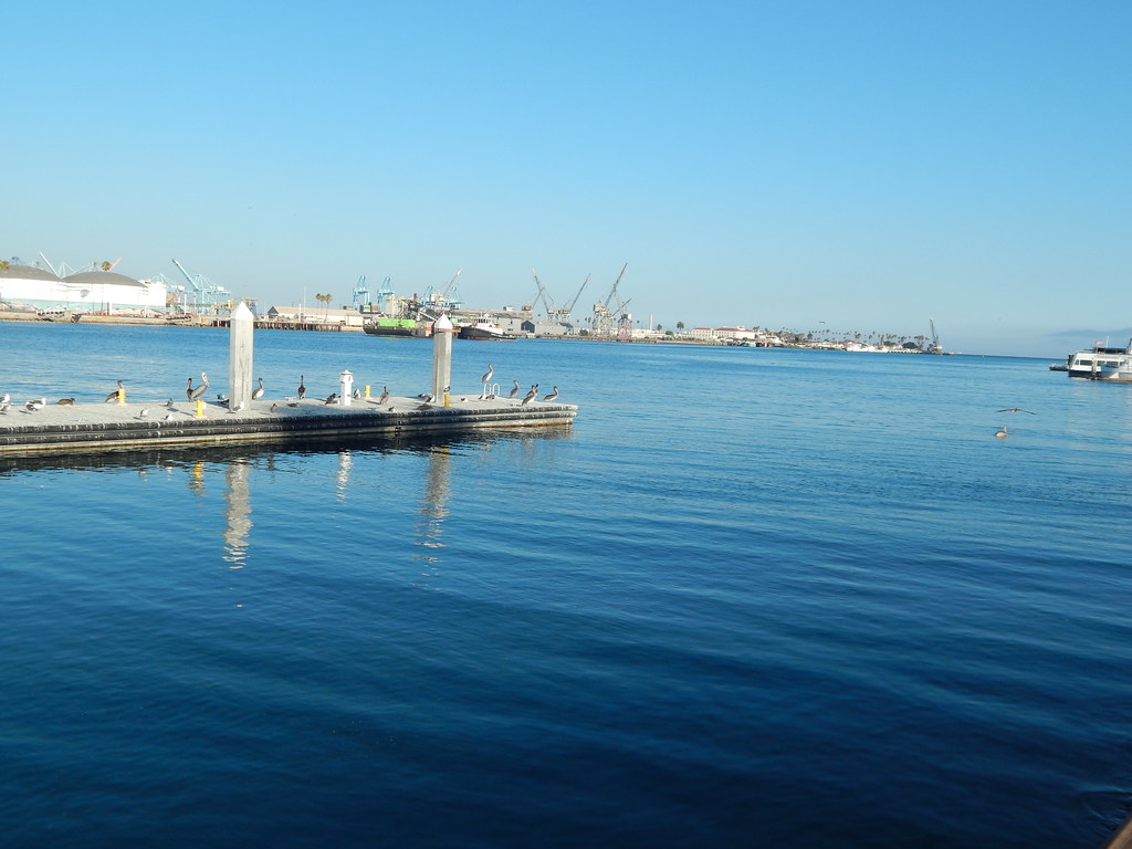 San Pedro downtown waterfront, Port of Los Angeles Thurs… Flickr