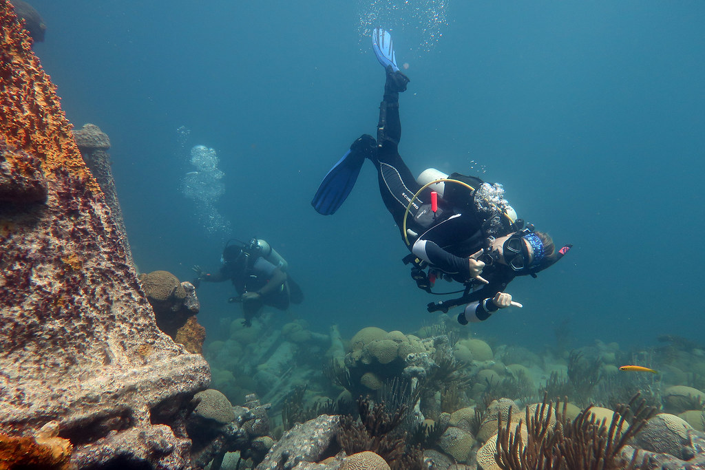 Our dive safety officer, Kyla Smith Ocean Academy Flickr