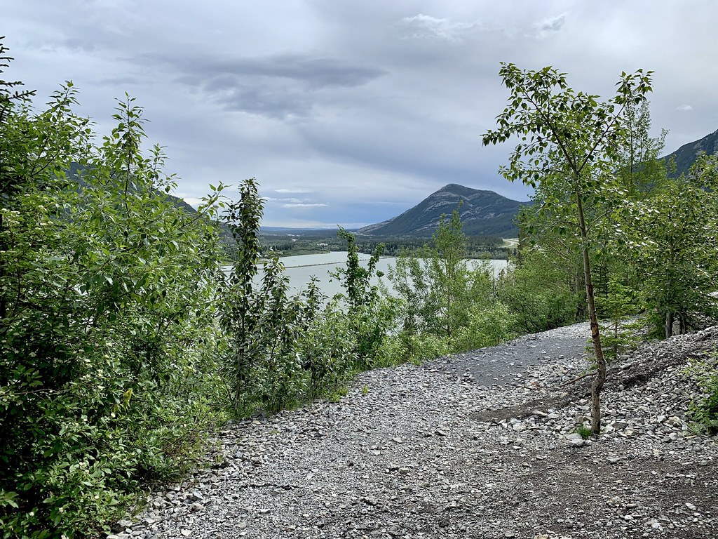 Bow River & Lac des Arcs View from the trail to the Bow Va… Flickr
