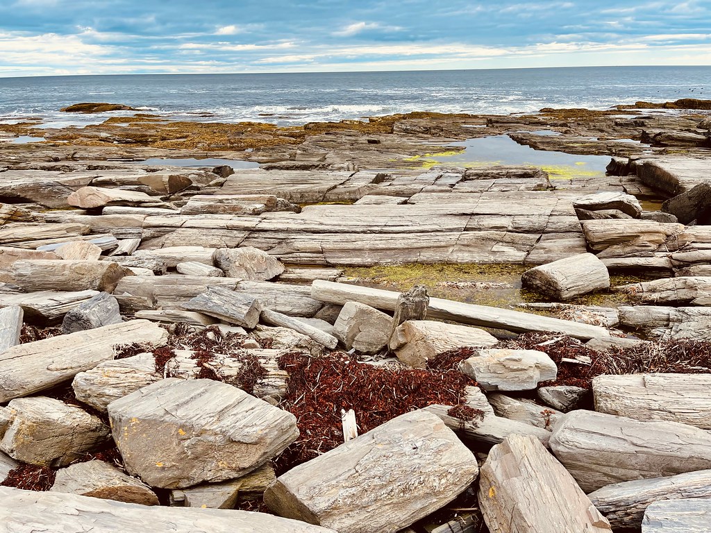 tide at Dyer Cove. Cape Elizabeth, Maine. Flickr