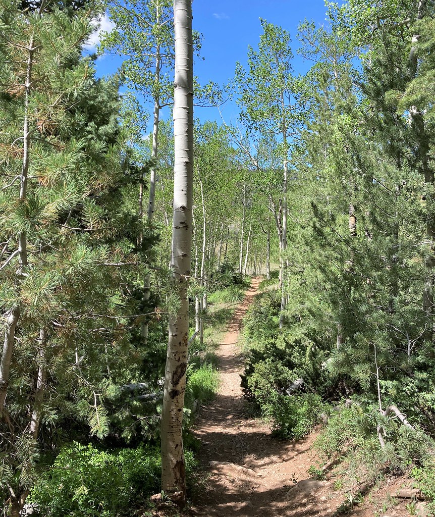 On the trail 3097 On national forest land in the mountains… Flickr