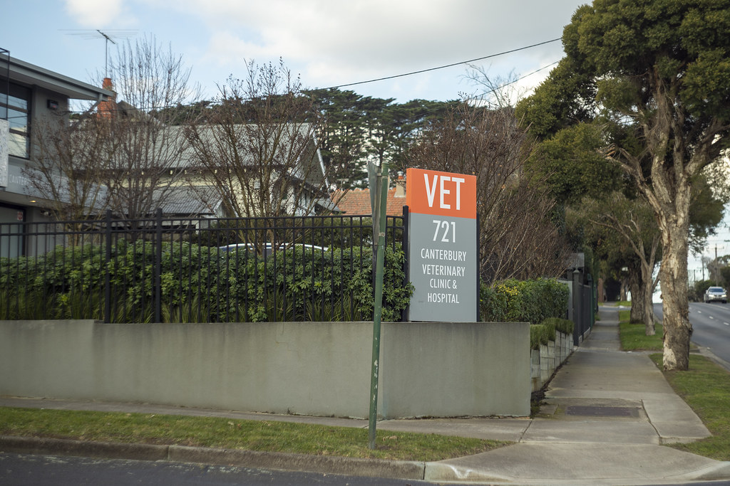 Vet Louisa Billeter Flickr