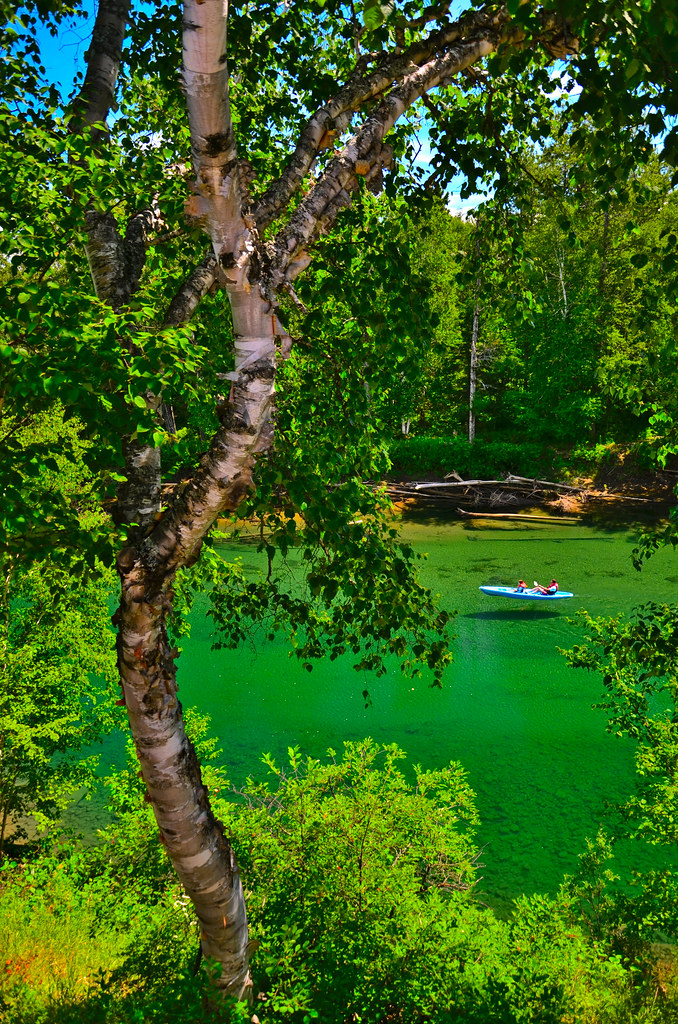 Little Cascapedia River Van Lochem, E.P. Flickr