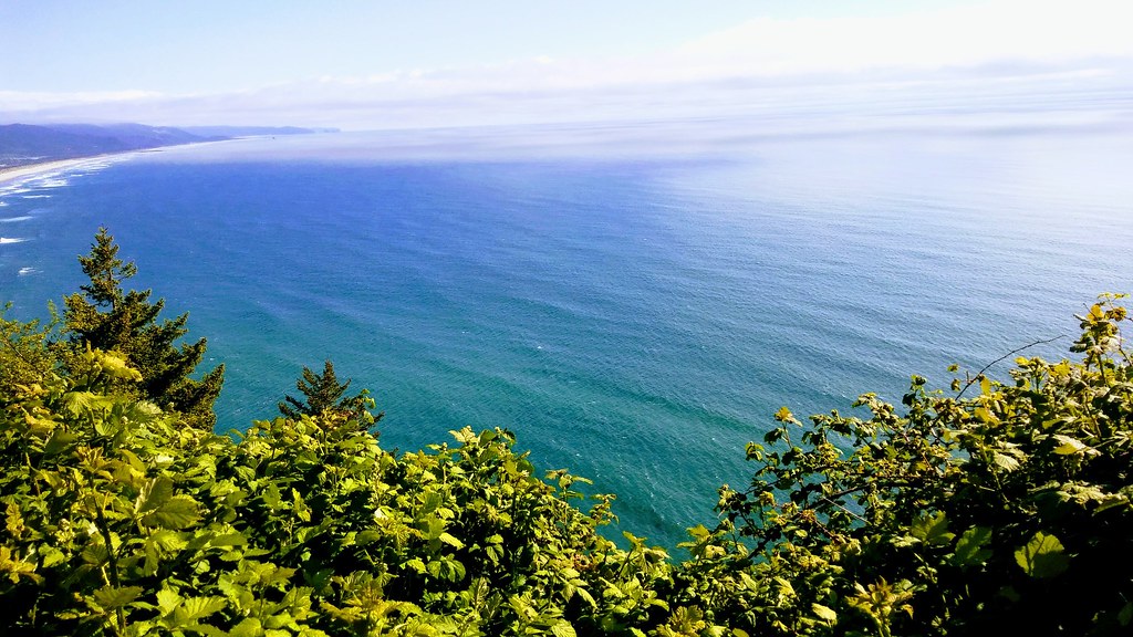 Oregon coast. David Love Flickr