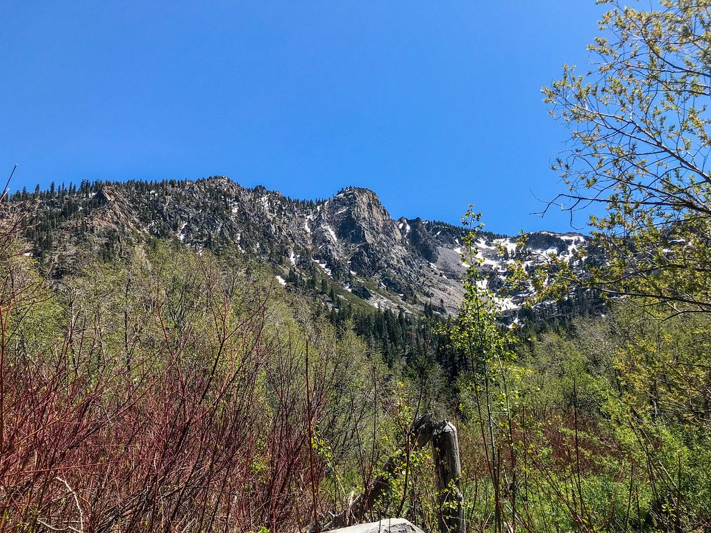 Indian rock Clint B Flickr