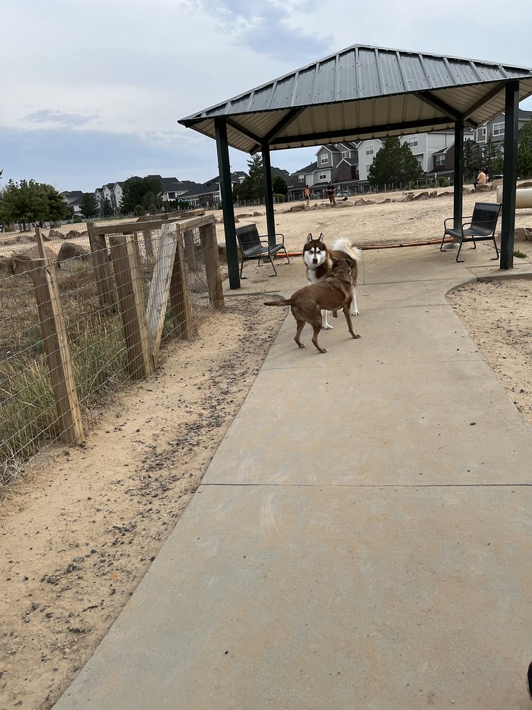 Kennedy Dog Park Denver, Colorado Chris Yunker Flickr