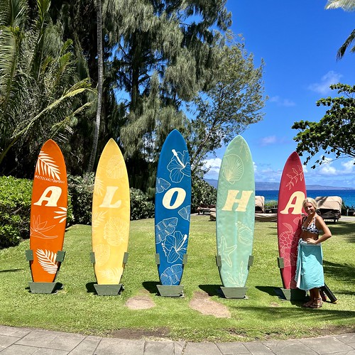 Maui 2022 Kristen Edsall Flickr