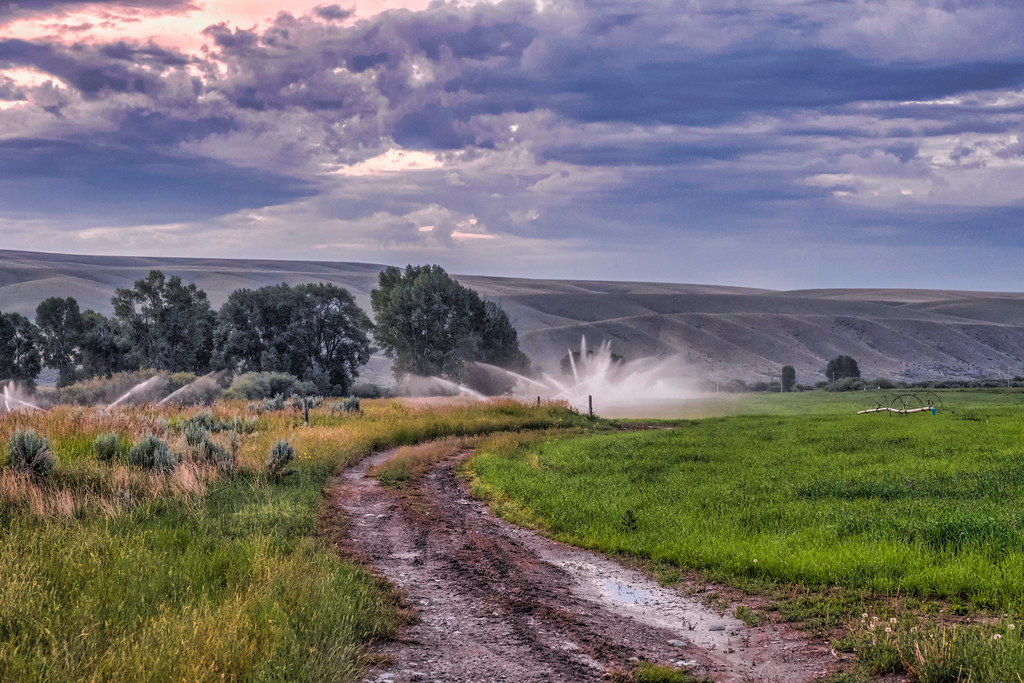 montana is irrigation Michael Bourgault Flickr