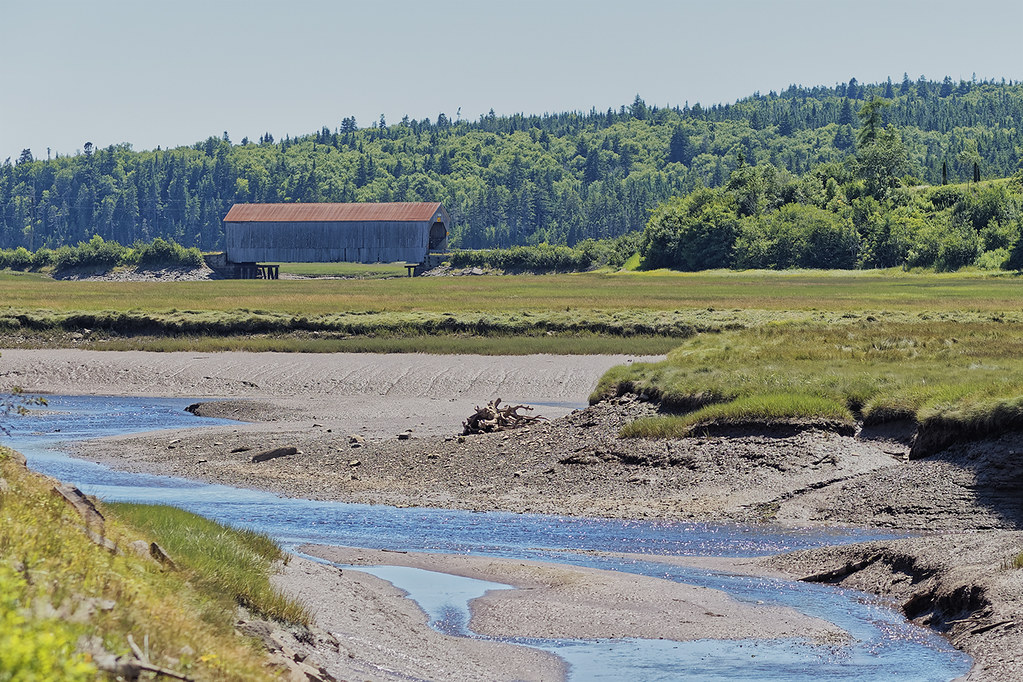 Tynemouth Creek Geoff Whiteway Flickr