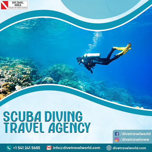 scuba diving travel agency Are you arranging trips to go s… Flickr