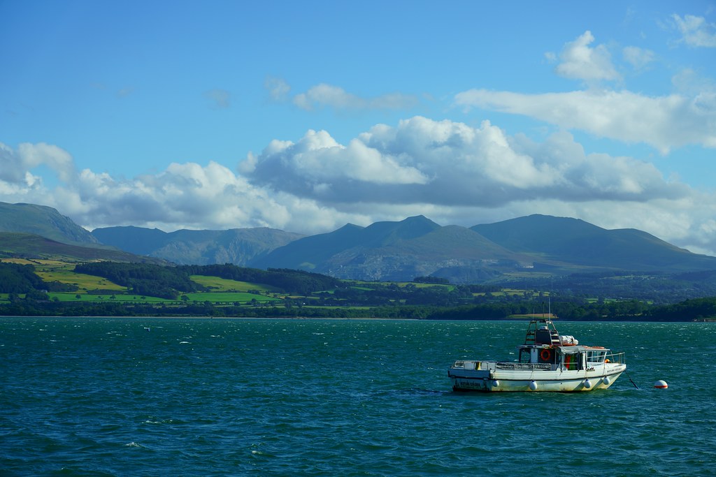 beaumaris covertsnapper1 Flickr