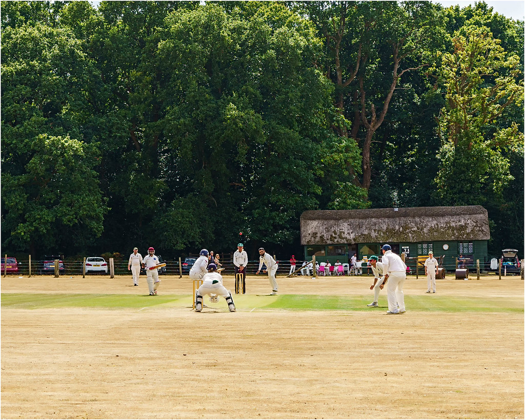 Cricket at Woodgreen new Forest john barton Flickr
