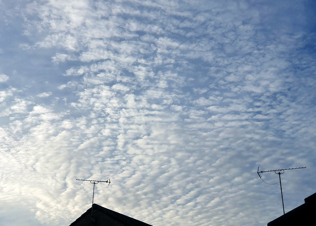 Mackerel Sky Cirrocumulus 'mackerel sky' clouds as viewed … Flickr