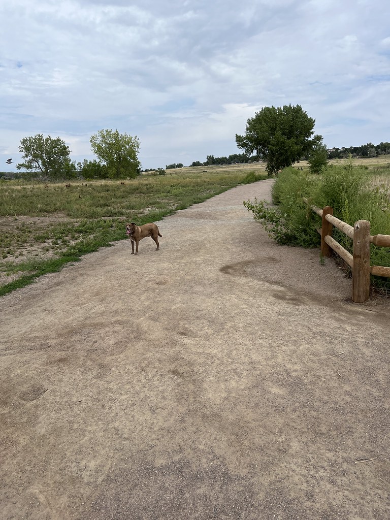 Cherry Creek Dog Park Denver, Colorado Chris Yunker Flickr