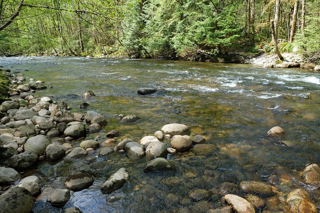 Coquitlam River Park, Coquitlam, BC, Canada Csaba&Bea Our Wanders