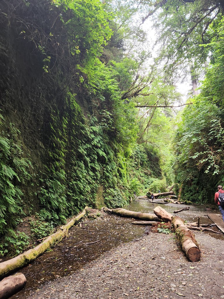 Fern Canyon Accessed by hiking James Irvine Trail, Prairie… Flickr