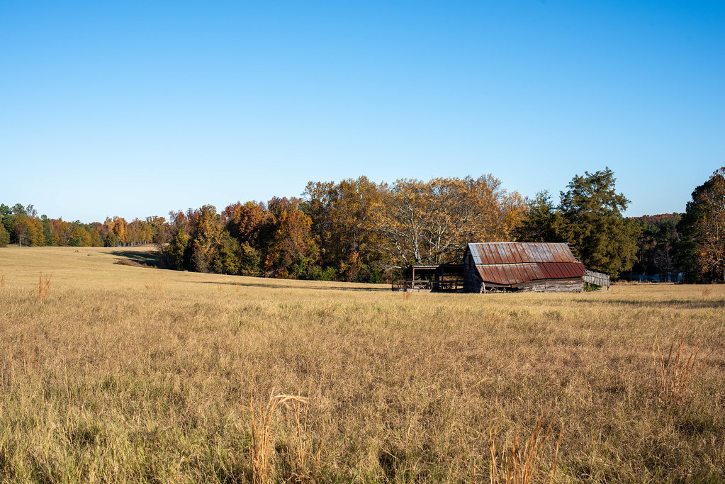 BatesburgLeesville Farmstead, South Carolina Tim Cassidy Flickr