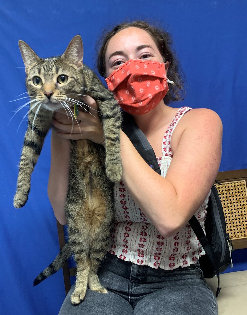 WilsonZinnia Road Animal Clinic Flickr