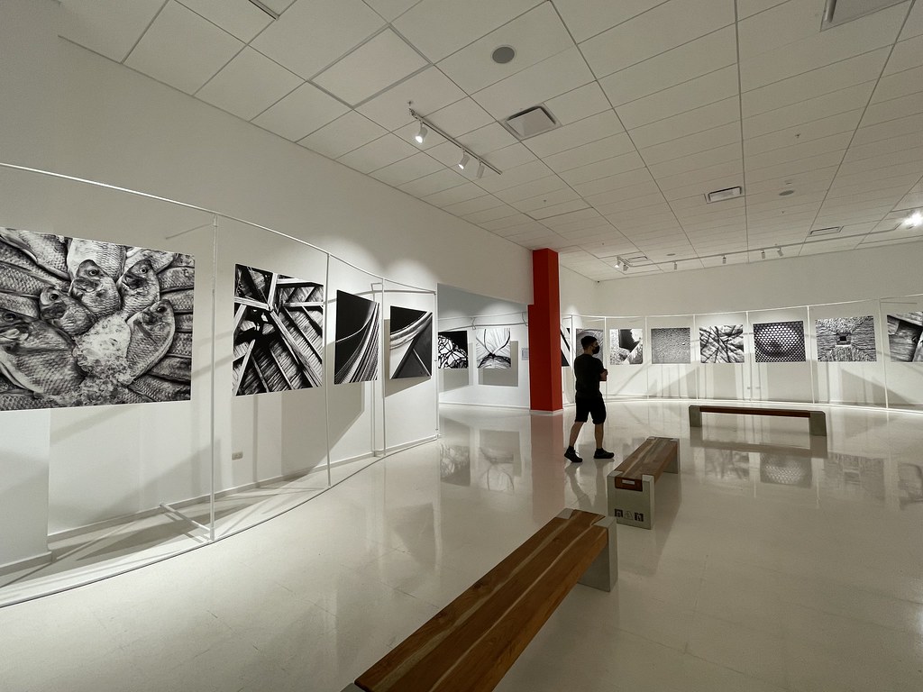 Museo de Arte Moderno de Santo Domingo, Gazcue Exposició… Flickr