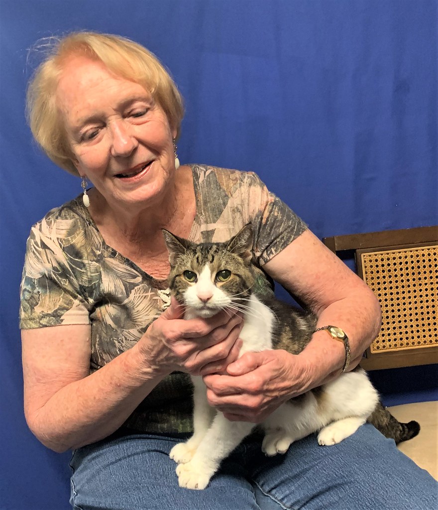 NorrisThumbellina Road Animal Clinic Flickr