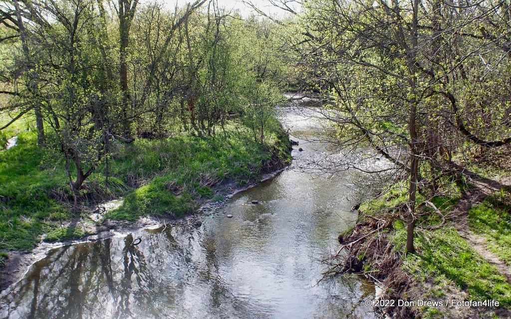 Schneider Creek at Homer Watson Park DF220507DD_0122 Don Drews