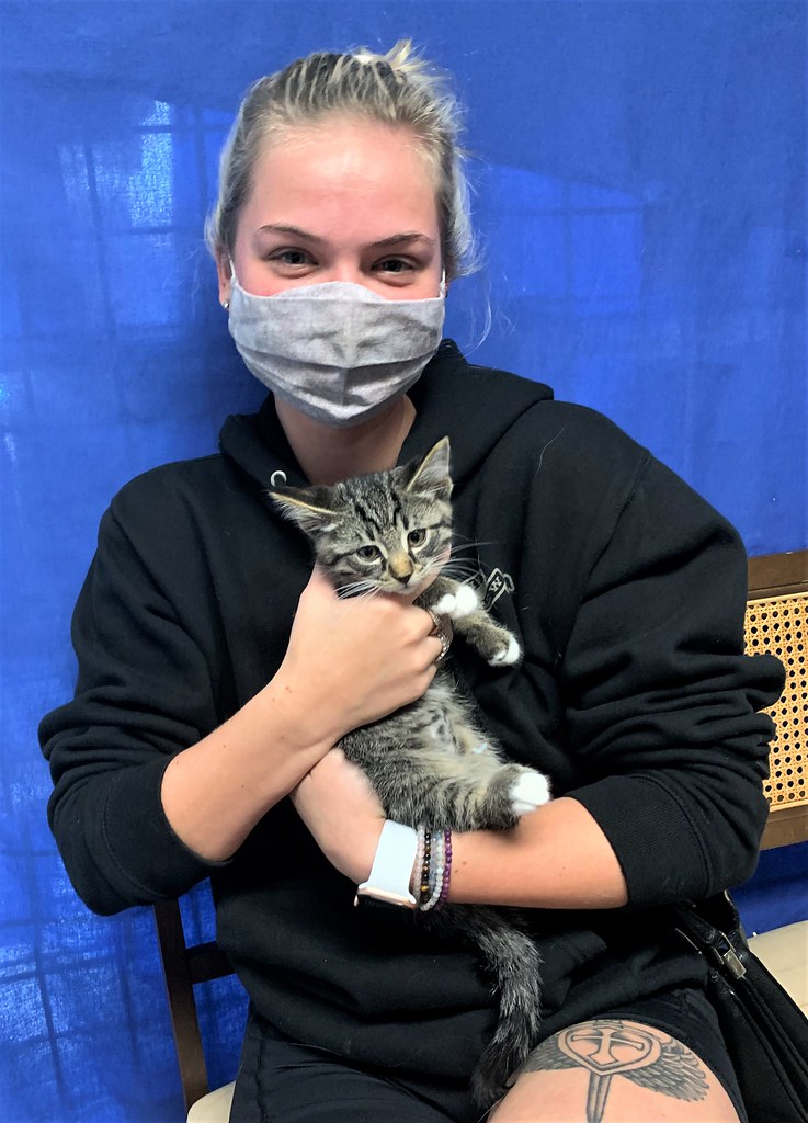 WillardLeoOliver Road Animal Clinic Flickr