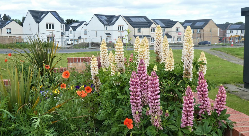 G Moodiesburn New Build Brian Cairns Flickr