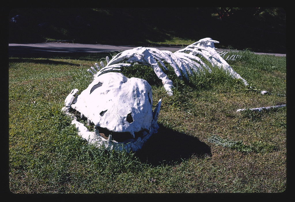 Skeleton, Prehistoric Forest, Route 12, Onsted, Michigan (… Flickr