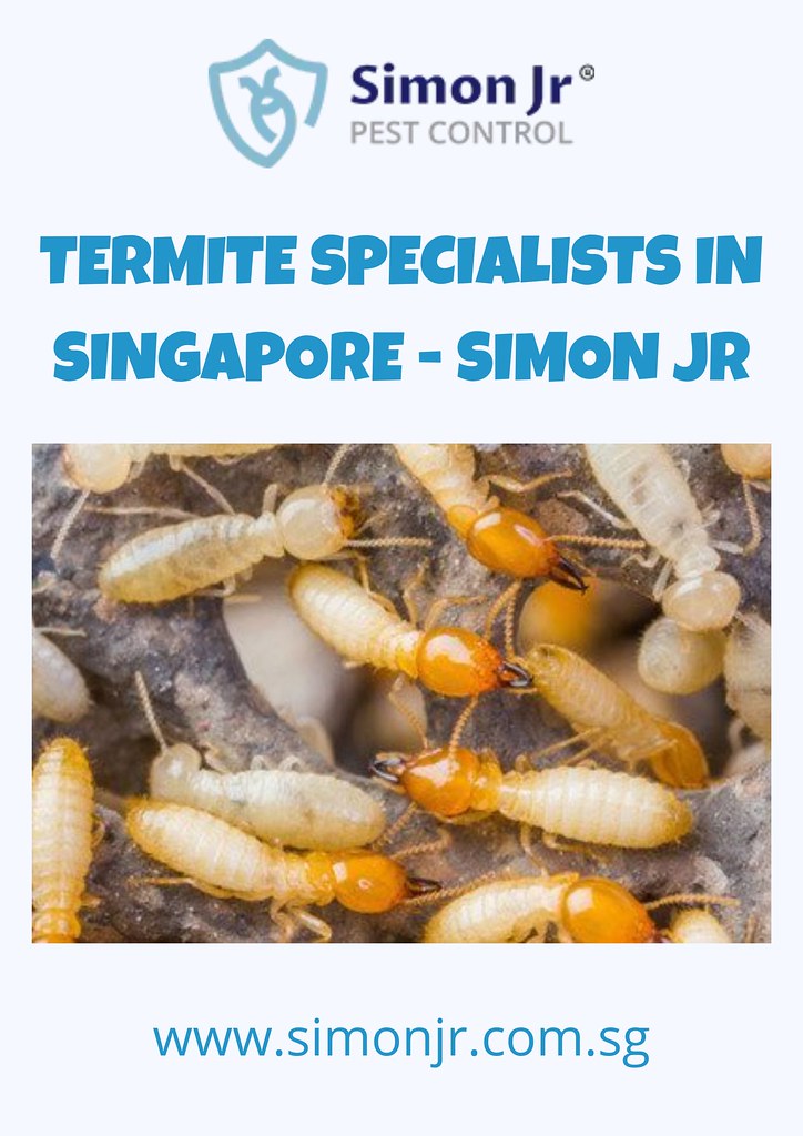 Termite Specialists In Singapore Simon Jr Termite contro… Flickr
