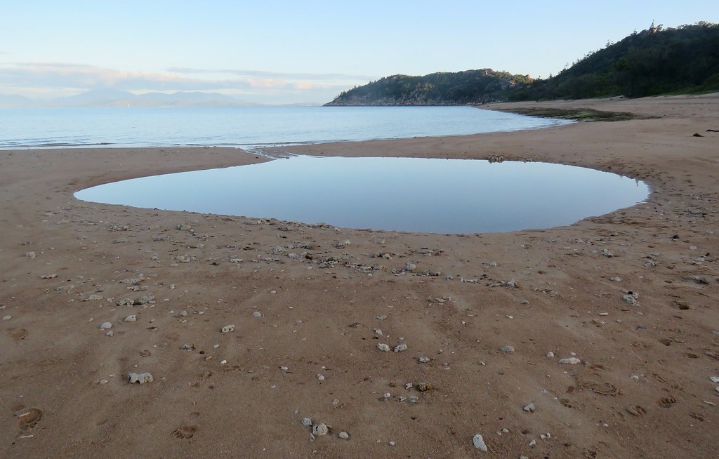 Nelly Bay, Island A tidal pool viewed at dusk alo… Flickr