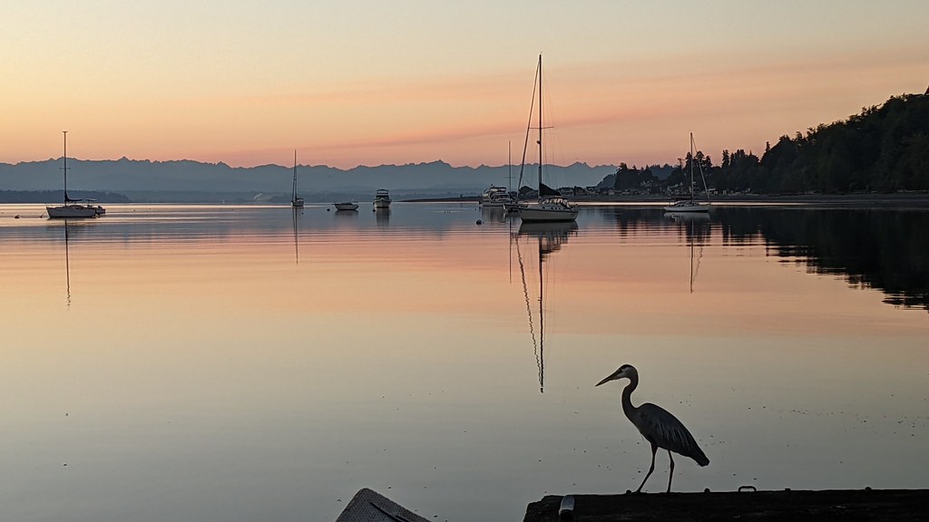 Langley WA Port of South Whidbey Marina view south bef… Flickr
