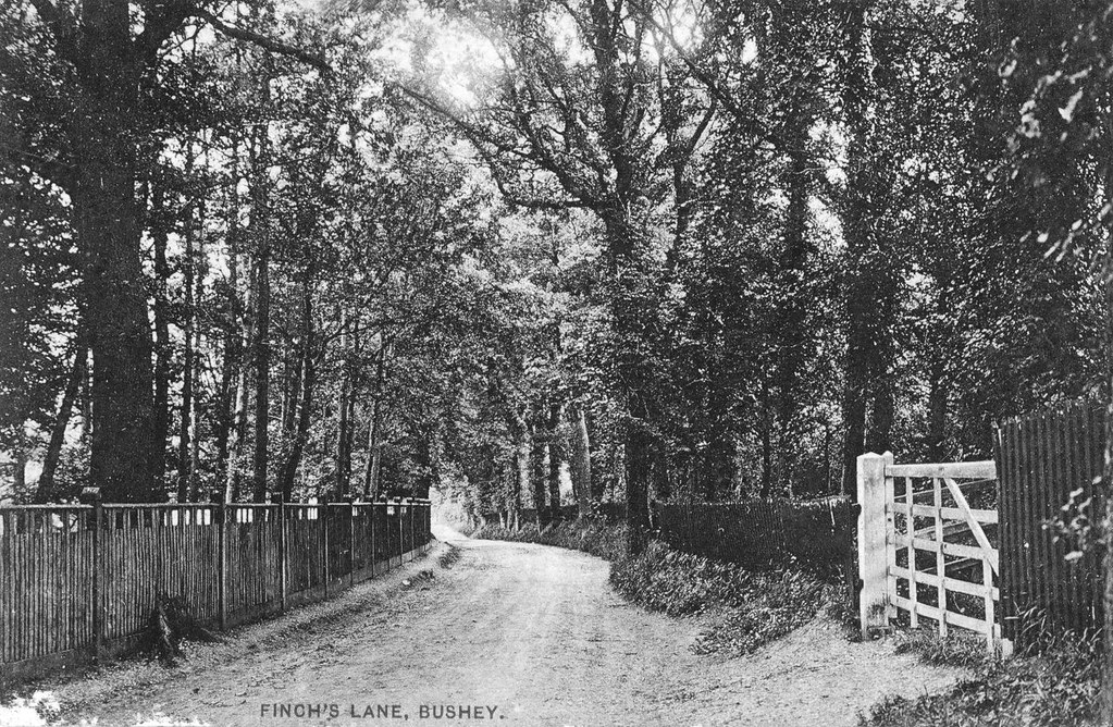Finch's Lane. Bushey c. 1920's. terry trainor Flickr