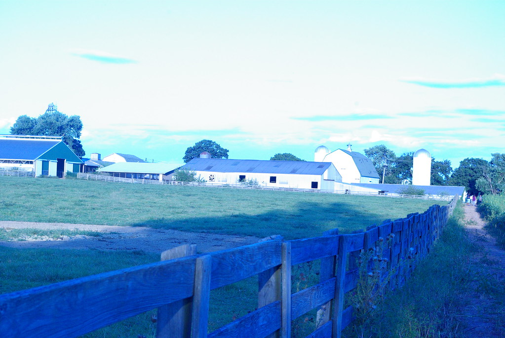 IMGP5109 Kaleb Pirtle Flickr